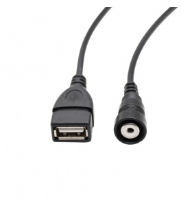 USB male to 1USB female and RCA female cable